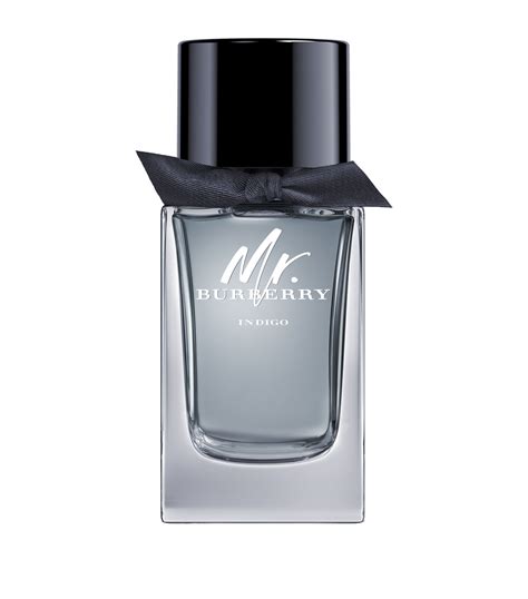 Buy Burberry Mr Burberry Indigo Eau de Toilette  